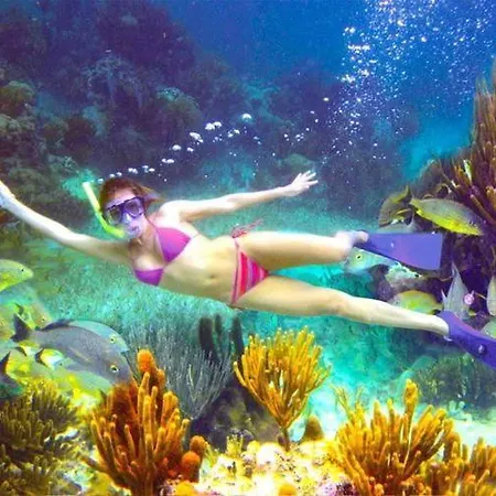 El Pisito La Dolce Nyaraló *