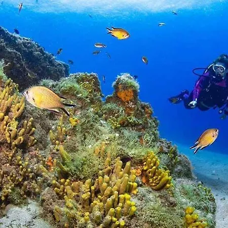 El Pisito La Dolce Nyaraló *