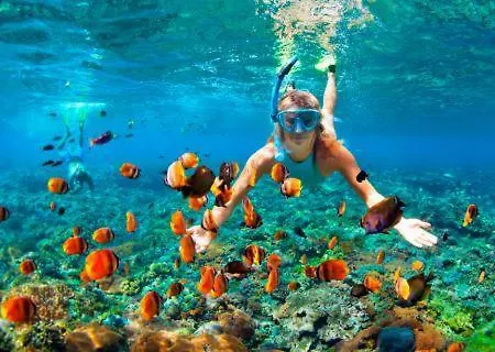 El Pisito La Dolce * Puerto del Carmen (Lanzarote)