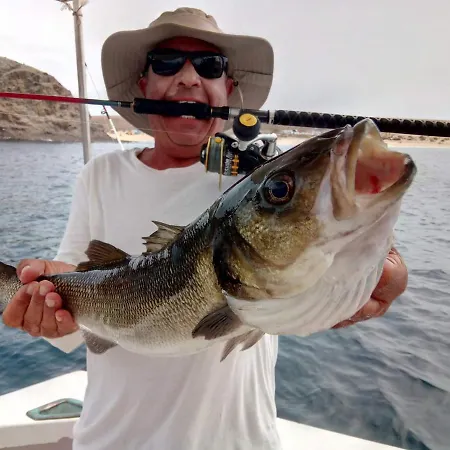 El Pisito La Dolce Сasa de vacaciones