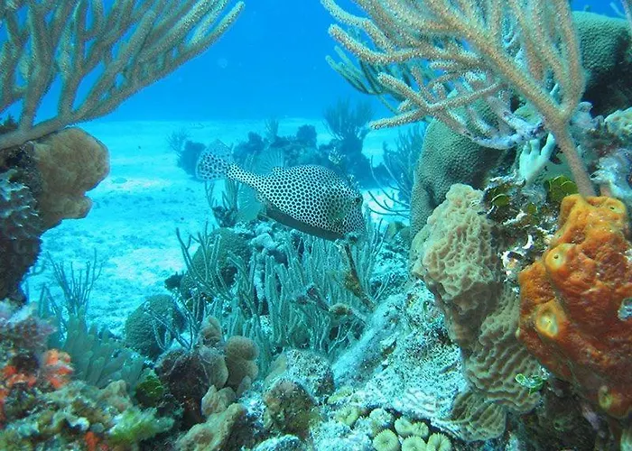 El Pisito La Dolce Puerto del Carmen