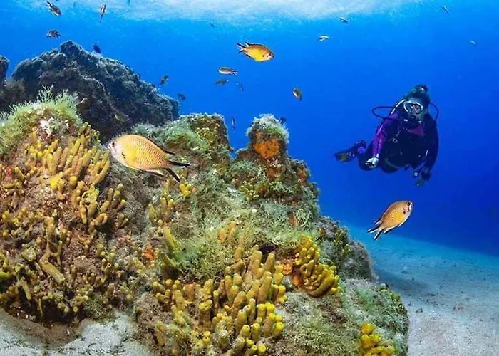 El Pisito La Dolce Сasa de vacaciones *